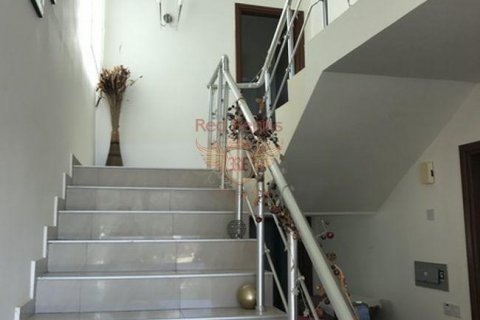 Villa for sale  in Girne, Northern Cyprus, 3 bedrooms, 200m2, No. 48012 – photo 16