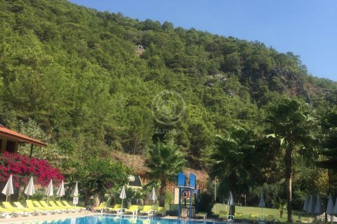 Hotel for sale  in Alanya, Antalya, Turkey, 1 bedroom, 5000m2, No. 59832 – photo 13