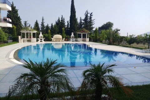 Ersoy Hasbahce residence (Турция, Аланья центр)  in Alanya, Antalya, Turkey No.56011 – photo 16