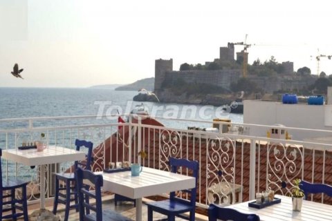 Hotel for sale  in Bodrum, Mugla, Turkey, studio, 390m2, No. 60032 – photo 1