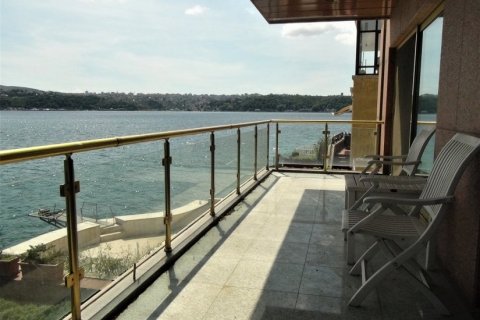 Villa for sale  in Istanbul, Turkey, 2 bedrooms, 750m2, No. 80829 – photo 6