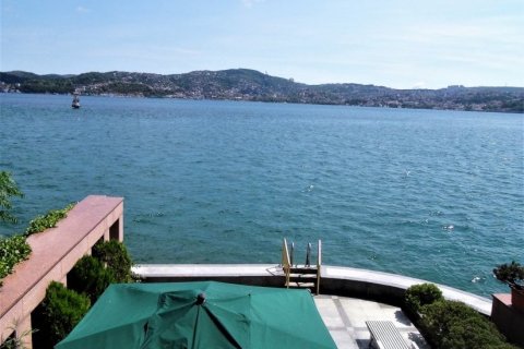 Villa for sale  in Istanbul, Turkey, 2 bedrooms, 750m2, No. 80829 – photo 1