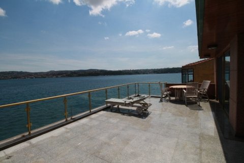 Villa for sale  in Istanbul, Turkey, 2 bedrooms, 750m2, No. 80829 – photo 2