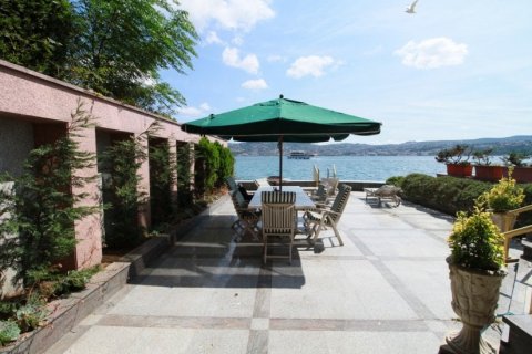 Villa for sale  in Istanbul, Turkey, 2 bedrooms, 750m2, No. 80829 – photo 11
