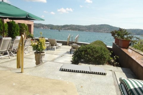 Villa for sale  in Istanbul, Turkey, 2 bedrooms, 750m2, No. 80829 – photo 8