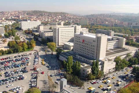 Строительство студенческого городка в Анкаре затронуло лесной массив