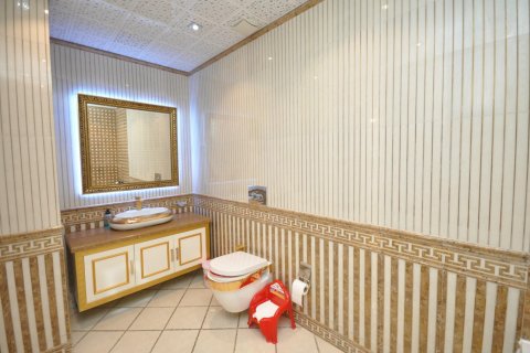 آپارتمان در  Mahmutlar ، امارات متحده عربی 3 خوابه ، 220 متر مربع.  شماره 24353 - 11