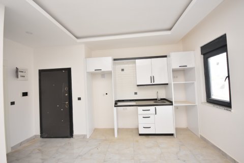 آپارتمان در  Mahmutlar ، امارات متحده عربی 1 خوابه ، 55 متر مربع.  شماره 32657 - 13