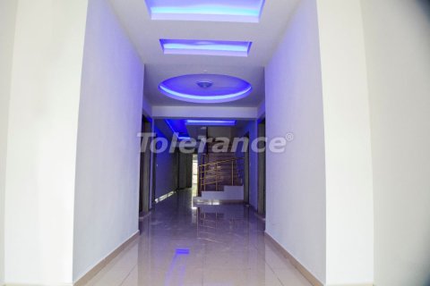 آپارتمان در  Didim ، امارات متحده عربی 2 خوابه ، 80 متر مربع.  شماره 3505 - 3