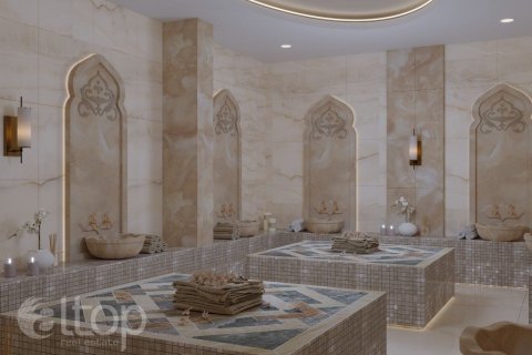 آپارتمان در  Gazipasa ، امارات متحده عربی 56 متر مربع.  شماره 46902 - 20