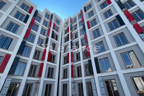 آپارتمان در  Antalya ، امارات متحده عربی 1 خوابه ، 50 متر مربع.  شماره 3095 - 2