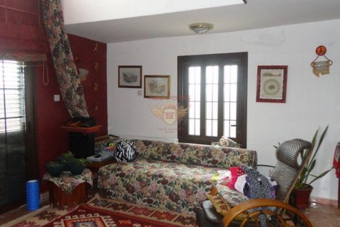 ویلا در  Girne ، امارات متحده عربی 5 خوابه ، 400 متر مربع.  شماره 48552 - 10