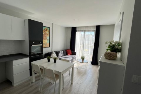 آپارتمان در  Antalya ، امارات متحده عربی 1 خوابه ، 45 متر مربع.  شماره 52717 - 8
