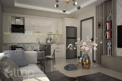 آپارتمان در  Alanya ، امارات متحده عربی 55 متر مربع.  شماره 50982 - 10