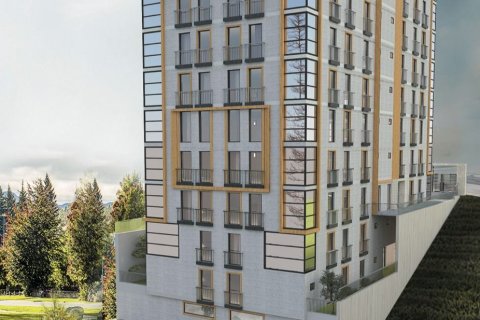 آپارتمان در Besiktas،  Istanbul ، امارات متحده عربی 4 خوابه ، 243 متر مربع.  شماره 65021 - 1