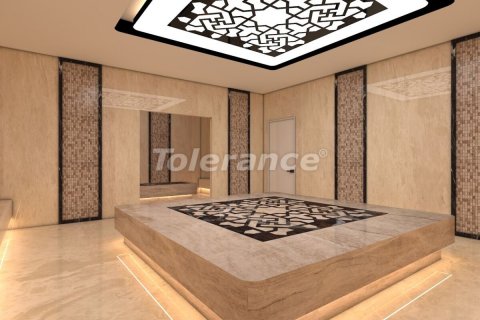 آپارتمان در  Alanya ، امارات متحده عربی 1 خوابه ، 4231 متر مربع.  شماره 63139 - 13