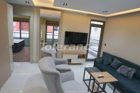آپارتمان در  Antalya ، امارات متحده عربی 1 خوابه ، 45 متر مربع.  شماره 50123 - 8