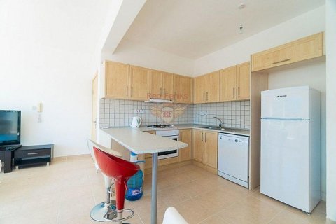 آپارتمان در  Girne ، امارات متحده عربی 3 خوابه ، 155 متر مربع.  شماره 71303 - 25