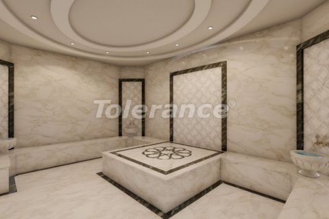 آپارتمان در  Alanya ، امارات متحده عربی 2 خوابه ، 4313 متر مربع.  شماره 70365 - 17