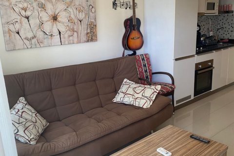 آپارتمان در  Alanya ، امارات متحده عربی 1 خوابه ، 502 متر مربع.  شماره 79480 - 10