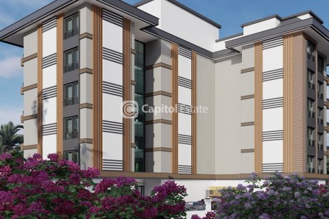 آپارتمان در  Antalya ، امارات متحده عربی 1 خوابه ، 47 متر مربع.  شماره 74054 - 21