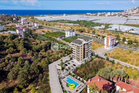 آپارتمان در  Antalya ، امارات متحده عربی 1 خوابه ، 61 متر مربع.  شماره 73882 - 13