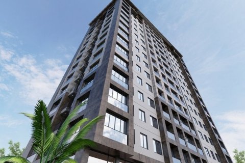 آپارتمان در  Istanbul ، امارات متحده عربی 1 خوابه ، 203 متر مربع.  شماره 41553 - 4