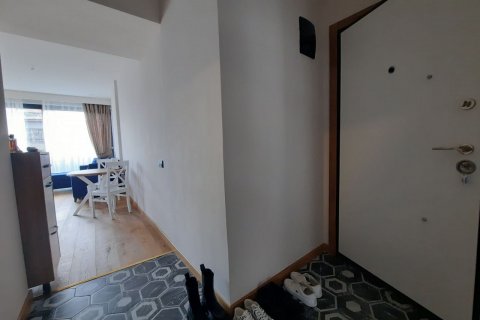 آپارتمان در  Alanya ، امارات متحده عربی 1 خوابه ، 55 متر مربع.  شماره 80129 - 3