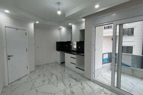 آپارتمان در  Gazipasa ، امارات متحده عربی 1 خوابه ، 45 متر مربع.  شماره 83326 - 12