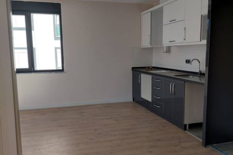 آپارتمان در  Kestel ، امارات متحده عربی 1 خوابه ، 50 متر مربع.  شماره 80270 - 28