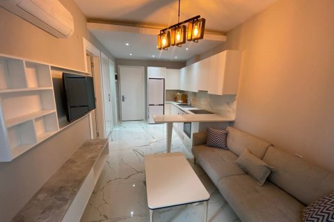 آپارتمان در  Alanya ، امارات متحده عربی 1 خوابه ، 49 متر مربع.  شماره 84903 - 9
