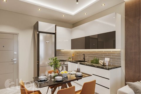 آپارتمان در  Alanya ، امارات متحده عربی 49 متر مربع.  شماره 81234 - 25