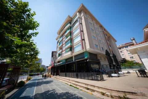 آپارتمان در  Istanbul ، امارات متحده عربی 1 خوابه ، 235 متر مربع.  شماره 41677 - 3