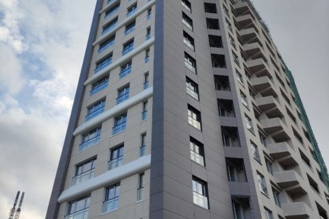 آپارتمان در  Istanbul ، امارات متحده عربی 1 خوابه ، 169 متر مربع.  شماره 41940 - 2