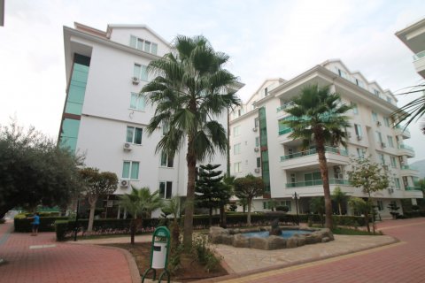 4+1 Takleilighet  i Kestel, Antalya, Tyrkia Nr. 23008 - 3