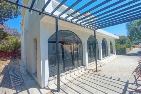 4+1 Villa  i Girne,  Nr. 48583 - 28