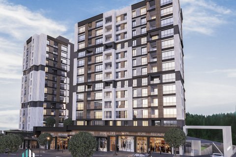 4+1 Leilighet  i Istanbul, Tyrkia Nr. 63642 - 1