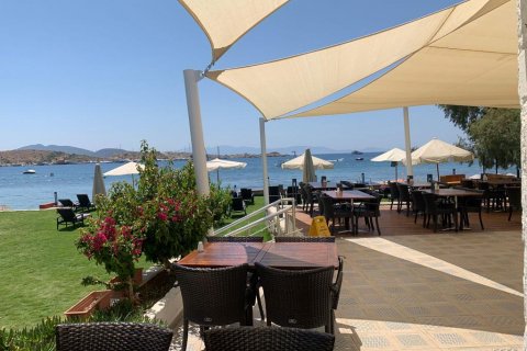 Hotell  i Bodrum, Mugla, Tyrkia Nr. 68962 - 15