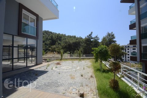 Lägenhet  i Alanya, Antalya, Turkiet Nr. 8794 - 8