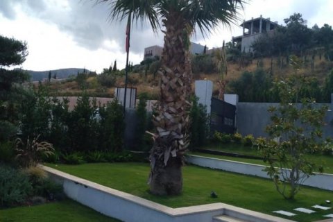 Villa  i Bodrum, Mugla, Turkiet Nr. 31174 - 17