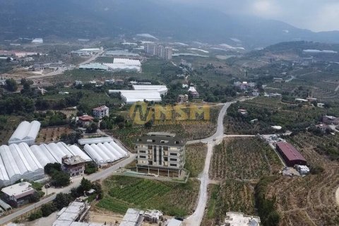 1+1 Lägenhet  i Alanya, Antalya, Turkiet Nr. 48824 - 12