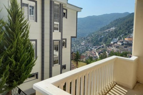 3+1 Lägenhet  i Bektas, Alanya, Antalya, Turkiet Nr. 48780 - 6