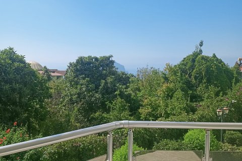 3+1 Villa  i Tepe, Alanya, Antalya, Turkiet Nr. 58749 - 25