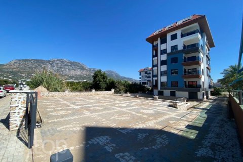 1+1 Lägenhet  i Kestel, Antalya, Turkiet Nr. 70800 - 3