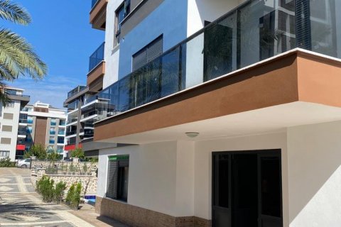 1+1 Lägenhet  i Kestel, Antalya, Turkiet Nr. 70800 - 4