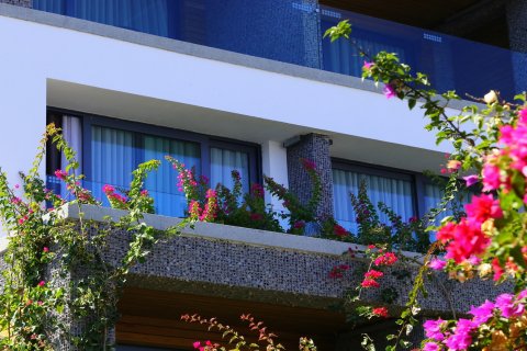 Hotell  i Bodrum, Mugla, Turkiet Nr. 74854 - 26