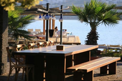 Hotell  i Bodrum, Mugla, Turkiet Nr. 74854 - 23