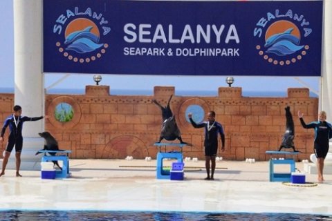 Дельфинарии Sealanya в Аланье
