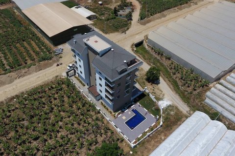 Konut kompleksi   Kargıcak, Alanya, Antalya, Türkiye №32970 - 6