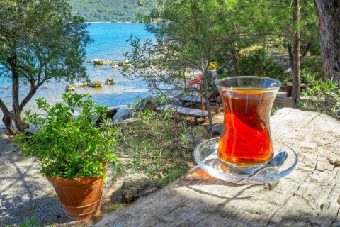    Bodrum, Muğla, Türkiye №61787 - 27